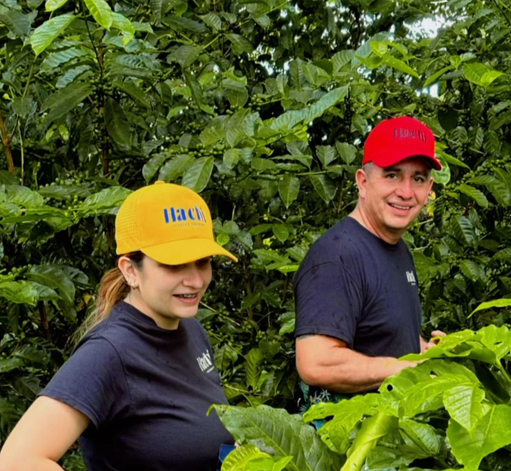 Q.006 Hachi Coffee Project Reverse Protocol Caturra
