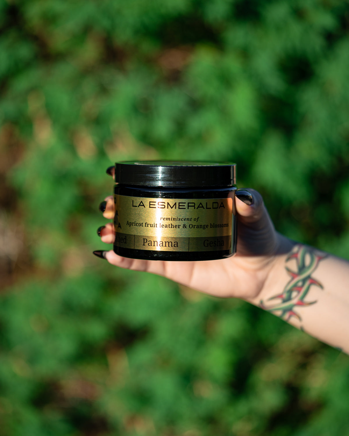 Q.009 Hacienda La Esmeralda Washed Panama Gesha