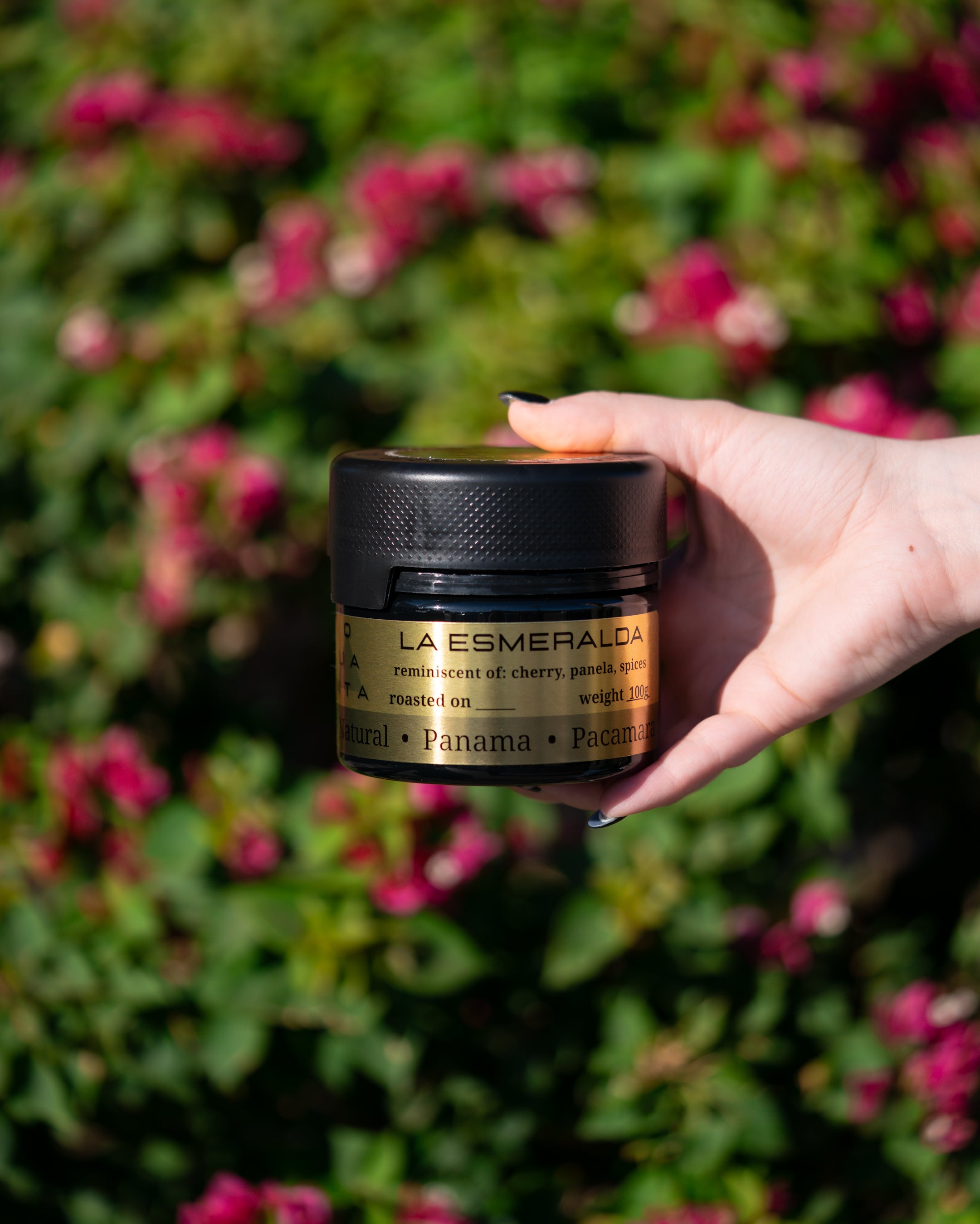 Q.003 Hacienda La Esmeralda Natural Panama Pacamara